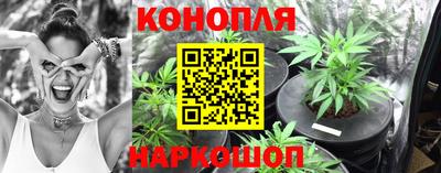 молекула духа Славянск-на-Кубани