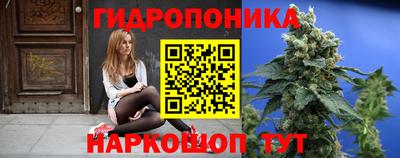 дурь Славгород