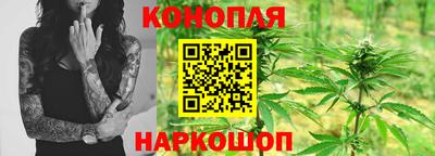 дурь Славгород