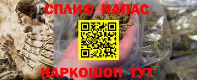 молекула духа Славянск-на-Кубани