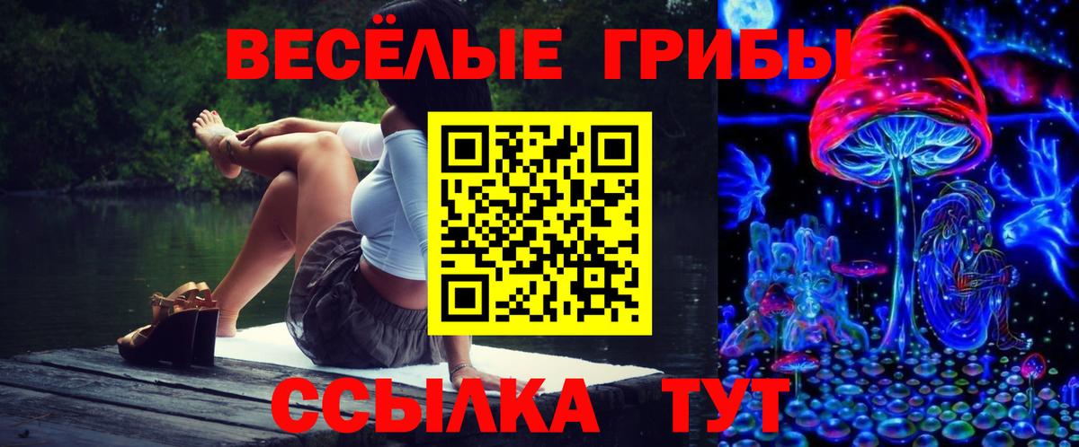 купить   Галлюциногенные грибы мицелий  Вход с VPN  Подольск  Псилоцибиновые грибы Psilocybe 